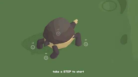 The Art of Tortoise Walking screenshot 5