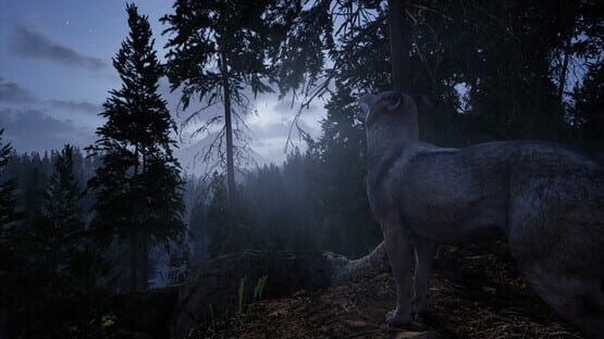 Online: 404 screenshot 8