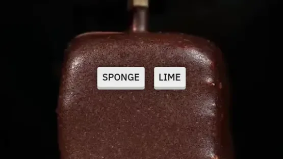 Sponge or Lime screenshot 1