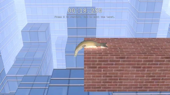 Salmon screenshot 6