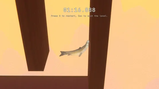 Salmon screenshot 1