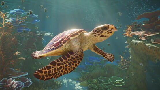 Planet Zoo 2 screenshot 3