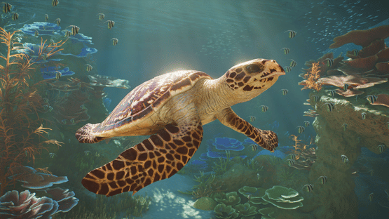 Planet Zoo 2 Screenshot