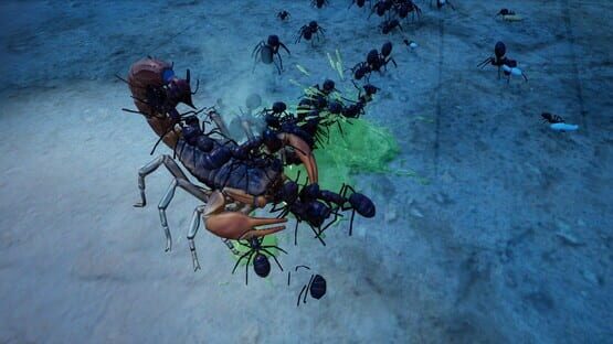 Empires of the Undergrowth: Exploding Ants screenshot 6