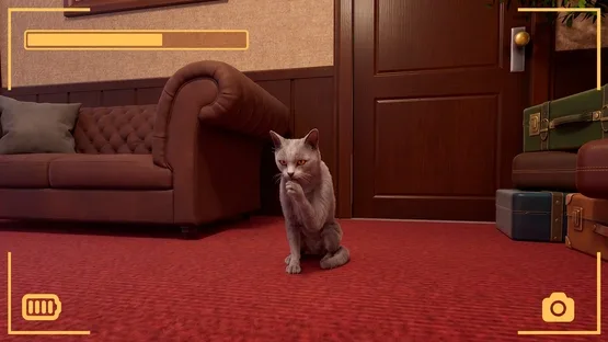 Strays POV Tales screenshot 4