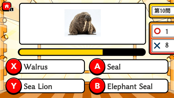 Mosaic Quiz Fastest Finger Battle Screenshot