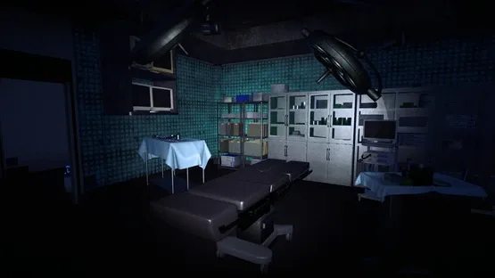 The Organ Woman screenshot 11