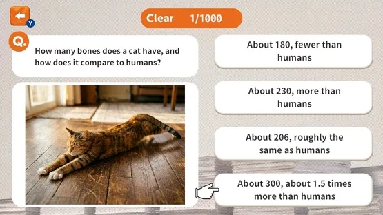 1000 Questions to Be Chosen by the Cat Lord screenshot 1