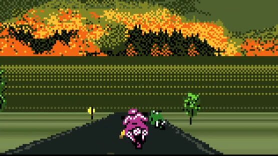 Road Rash screenshot 3