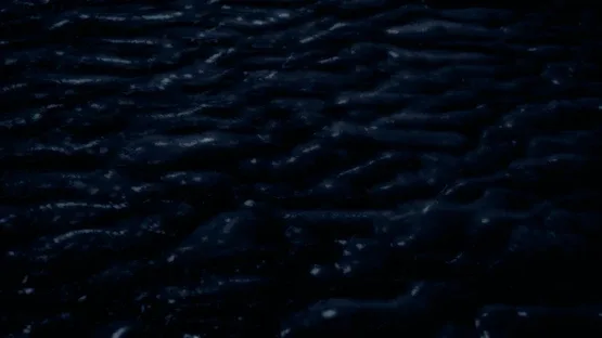 Aenigma screenshot 20