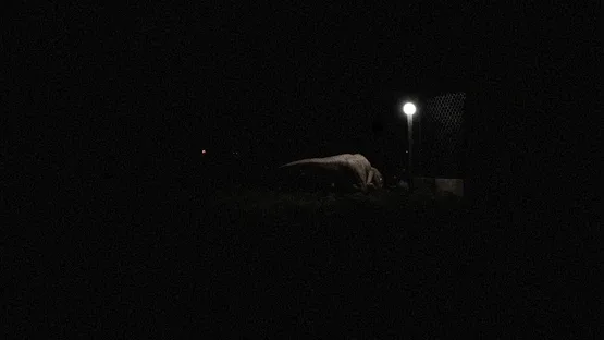 D-Extinction screenshot 8
