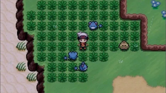 Pokémon Infinite Fusion 2: Hoenn screenshot 4
