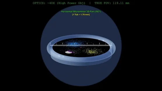 Dodecium screenshot 17