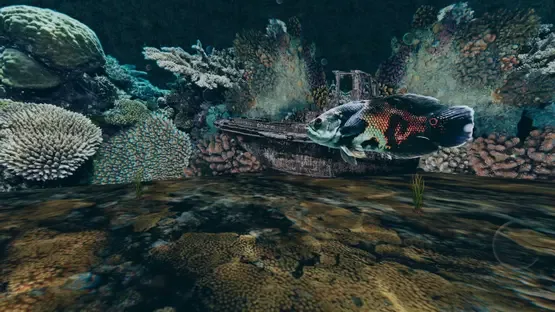 Deep Soup screenshot 6