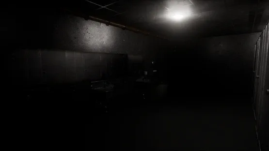 The Confined: Basement screenshot 5