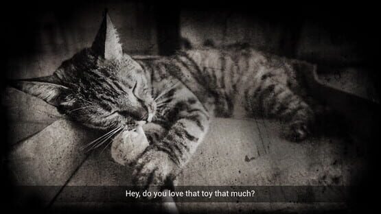 Meowmories Screenshot