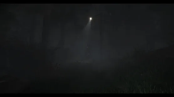 The Disappearance of Emily Crowe screenshot 1