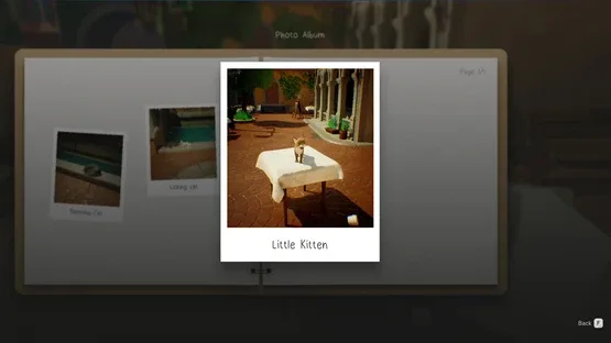 Cat a Photo screenshot 6