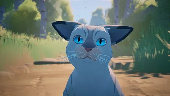 Cat a Photo screenshot 7