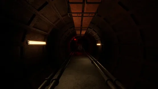 Backrooms: Lost Signal screenshot 2