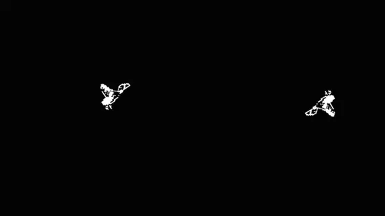 Bird-Shot screenshot 3