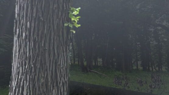 Wizard Soup screenshot