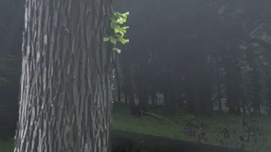 Wizard Soup screenshot 1