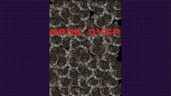 Lunyatic Invaders screenshot 5