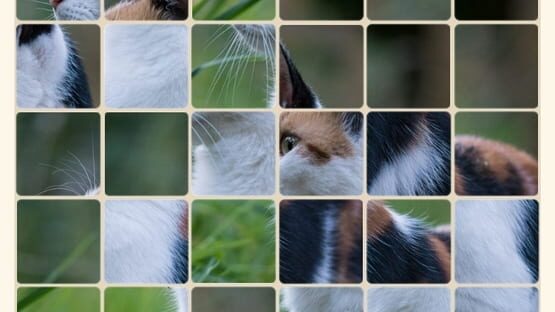 SlideGrid screenshot 3