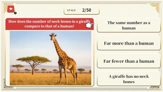 Professor Neumann's Adult Certification Test screenshot 2