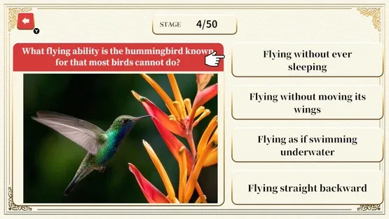 Professor Neumann's Adult Certification Test screenshot 4