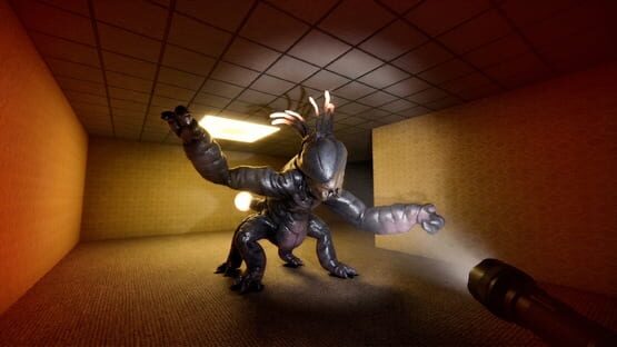 Backrooms: Premium Edition screenshot 3
