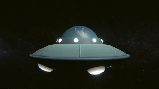 Finding Cats screenshot 5