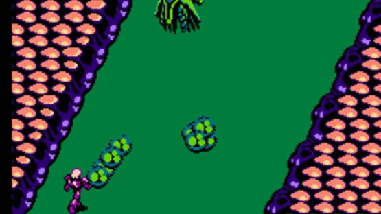 Isolated Warrior backdrop