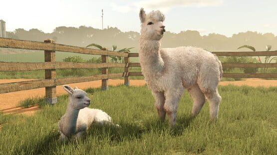Screenshot 7 di 7 di Farming Simulator 25: Beans & Alpacas Expansion