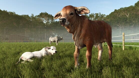 Screenshot 2 di 7 di Farming Simulator 25: Beans & Alpacas Expansion