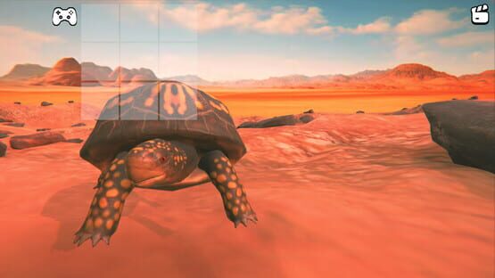Catch the Turtle screenshot 3