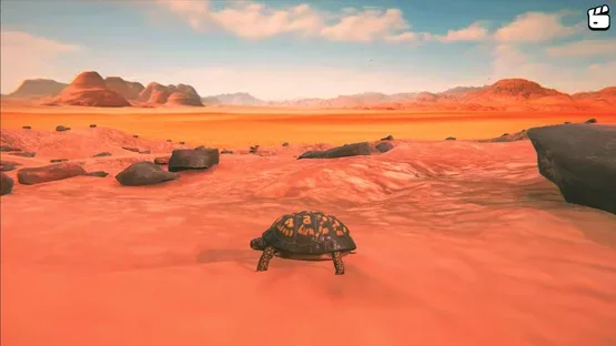 Catch the Turtle screenshot 2