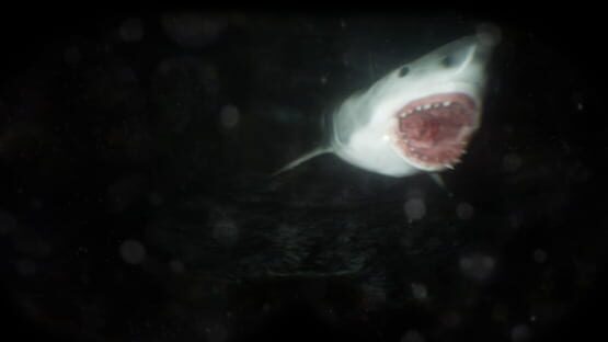 Scary Cave Diving screenshot 5