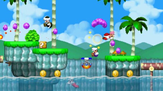 NSMB: Mario vs. Luigi Online screenshot 3