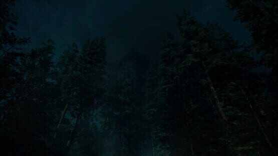 Forest Lookout screenshot 4