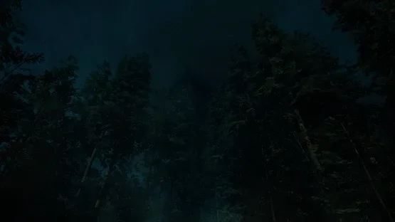 Forest Lookout screenshot 3