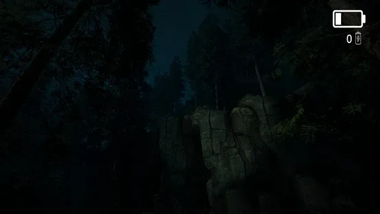 Forest Lookout screenshot 4