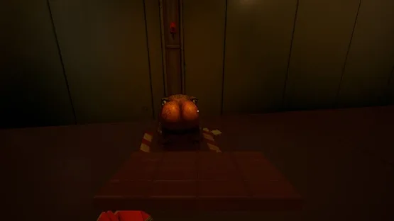 Karakulo 21 screenshot 4