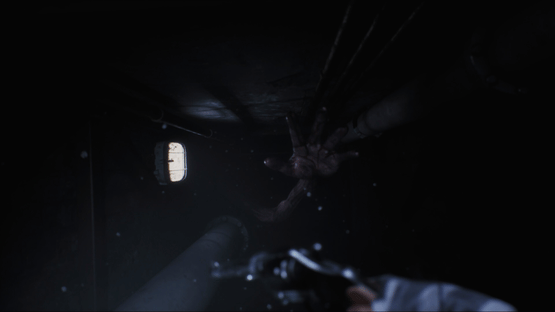 Black Lake Screenshot