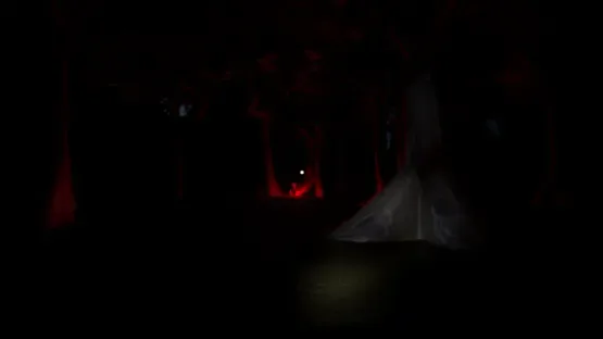 The Silence: The Forest screenshot 4