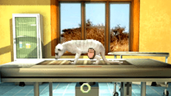 My Animal Centre in Africa Screenshot