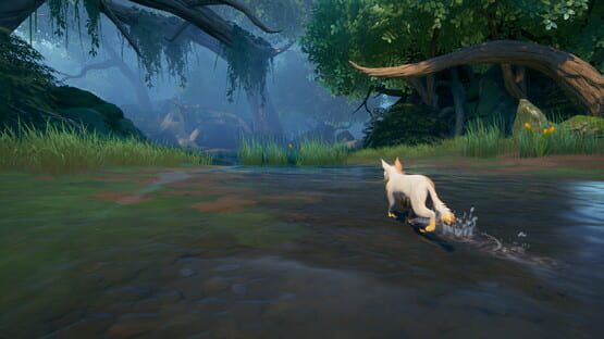 screenshot 10