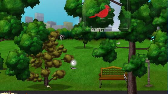 Snapshot Adventures: Secret of Bird Island gameplay screenshot