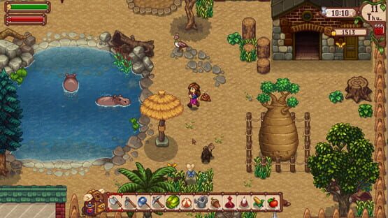 Super Zoo Story screenshot 5